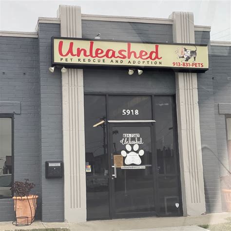 Unleashed pet rescue in mission kansas - MISSION, Kan. — Gillian Gollehon, a Lenexa resident, sat in her car outside Unleashed Pet Rescue in Mission, gagging. She had just picked up a dog named …